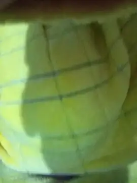 Snapshot of Hnonasix89 chatting on November 24, 1:33 pm Hnonasix89 online show from November 24, 1:33 pm