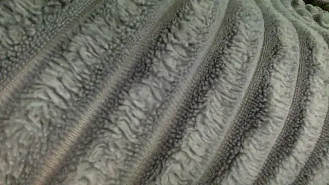 slutzilly online show from March 13, 3:29 pm