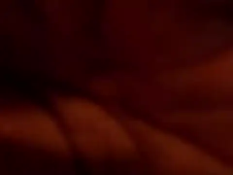 TRANSPORNIDOL online show from November 22, 7:24 pm