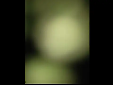 sobit1234 online show from October 18, 6:52 pm