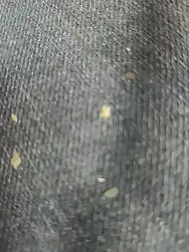 Snapshot of Narckse chatting on September 15, 7:30 am Narckse online show from September 15, 7:30 am