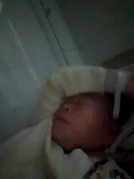 VangLe73 online show from December 22, 10:51 pm