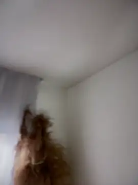 Sofi Leal online show from March 5, 12:12 pm