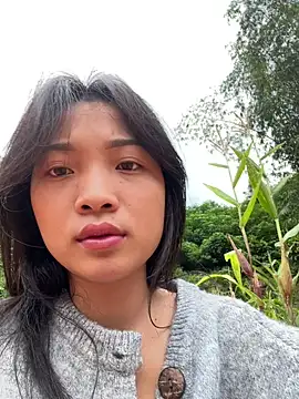 Snapshot of Phayphay77 chatting on November 3, 8:37 am Phayphay77 online show from November 3, 8:37 am