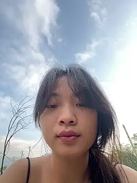 Snapshot of Phayphay77 chatting on November 6, 12:00 am Phayphay77 online show from November 6, 12:00 am