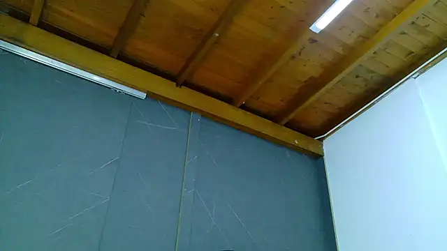 ALANNFERRER online show from January 13, 10:09 am