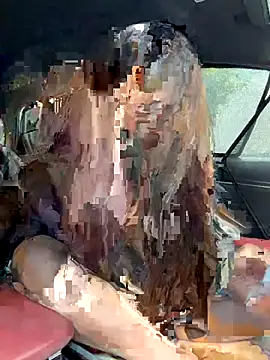 Snapshot of Linh_2004 chatting on December 4, 5:28 am Linh 2004 online show from December 4, 5:28 am