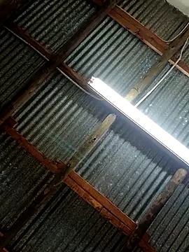 Snapshot of Fizozoo chatting on September 21, 4:58 am Fizozoo online show from September 21, 4:58 am