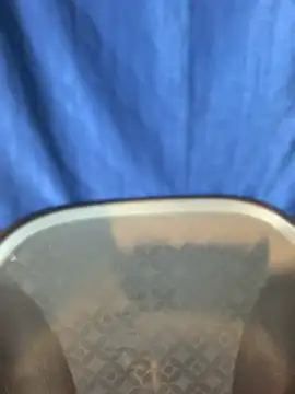 Snapshot of Rashi-48 chatting on November 17, 6:03 pm Rashi-48 online show from November 17, 6:03 pm