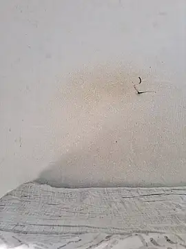 Snapshot of jujuhpimenta chatting on November 12, 11:21 am jujuhpimenta online show from November 12, 11:21 am