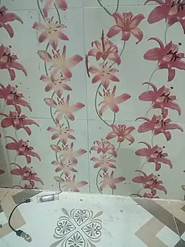 Snapshot of Meenaksi-singh chatting on October 1, 7:42 pm Meenaksi-singh online show from October 1, 7:42 pm