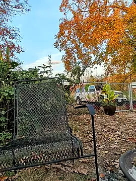 sizableunicorn7 online show from November 6, 10:32 pm