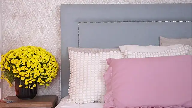 Sofy Bradd online show from November 8, 8:36 am