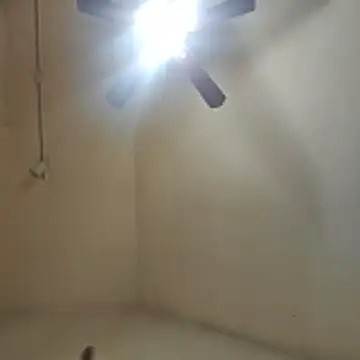 Snapshot of Tclarke93 chatting on November 12, 5:52 am Tclarke93 online show from November 12, 5:52 am