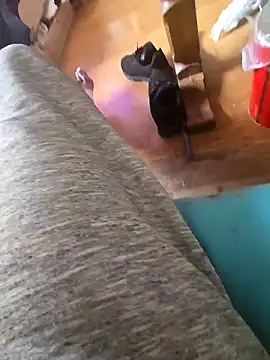 Fonse1860 online show from October 19, 8:59 am