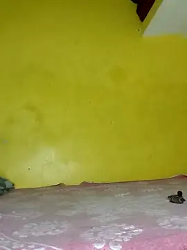 Dazzling khushii online show from September 11, 10:04 am