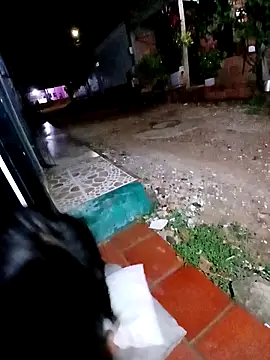 jeltsin3-25 online show from February 24, 1:58 am