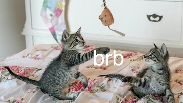 Pink girl0n online show from November 17, 7:08 pm