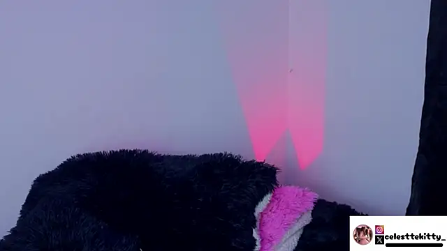 Snapshot of celestte_evans_1 chatting on February 8, 6:17 am celestte evans 1 online show from February 8, 6:17 am