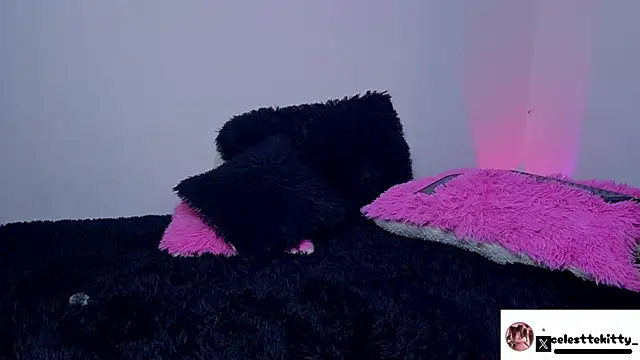 Snapshot of celestte_evans_1 chatting on March 16, 3:45 am celestte evans 1 online show from March 16, 3:45 am