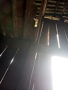 Snapshot of Mamapm20 chatting on September 19, 12:23 am Mamapm20 online show from September 19, 12:23 am