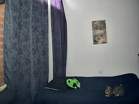 juantalents online show from October 15, 2:39 pm