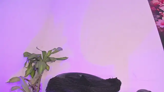 Lucy shen  online show from January 10, 12:01 am