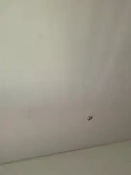 lana rousse01 online show from September 9, 2:49 pm