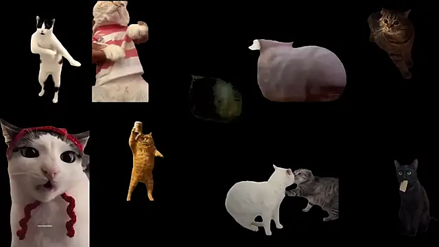 ch0wn m online show from September 19, 10:38 am