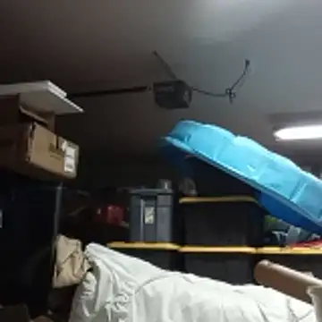 petalsexy online show from December 20, 6:15 pm