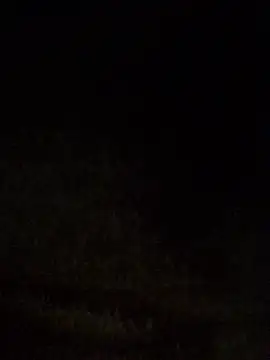 cuminsidebby online show from June 20, 3:42 am