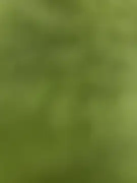 Snapshot of youyou933 chatting on September 12, 5:57 pm youyou933 online show from September 12, 5:57 pm