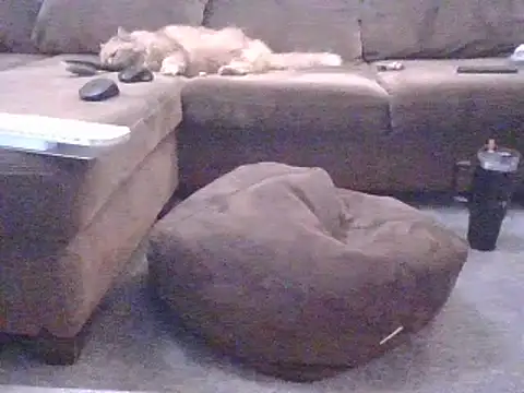 Jassonishorny online show from March 8, 7:28 pm