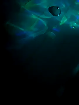 Snapshot of tyrek5051 chatting on October 31, 7:20 am tyrek5051 online show from October 31, 7:20 am