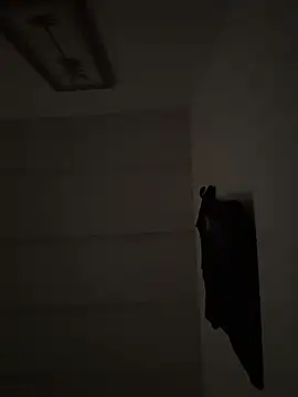 Snapshot of tyrek5051 chatting on November 12, 5:02 pm tyrek5051 online show from November 12, 5:02 pm