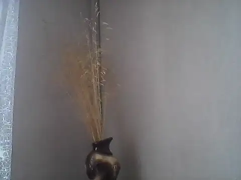 Littlecatme online show from July 21, 7:32 am