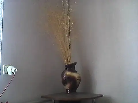 Littlecatme online show from July 27, 7:04 am
