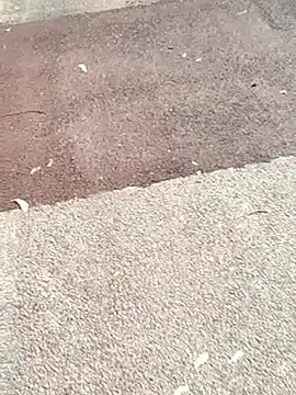 sonotutto online show from November 2, 10:50 am