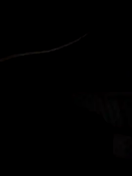 Snapshot of Xharmakesyoufeelorgasms chatting on October 19, 12:11 am Xharmakesyoufeelorgasms online show from October 19, 12:11 am