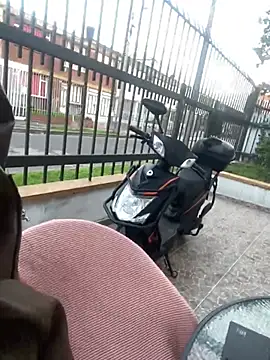 Sallem Pink online show from February 26, 11:20 am