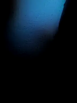 Mancho2289 online show from April 13, 4:40 am