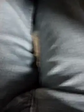 Ajayy01 online show from March 3, 7:14 am