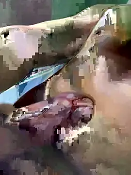 Snapshot of Huynh-duc-huy chatting on February 5, 7:24 am Huynh-duc-huy online show from February 5, 7:24 am