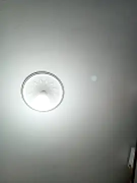 mert0359 online show from April 24, 8:33 pm