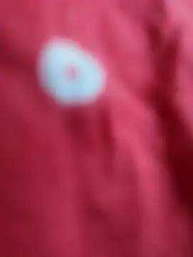 sana-5 online show from February 16, 10:22 am