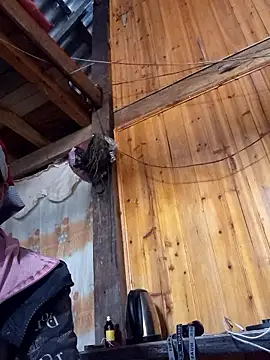 TinTin321 online show from November 26, 5:41 am