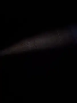 ratoncito 3 online show from February 8, 2:37 am