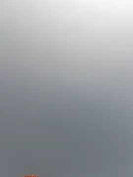 Cut rajbati online show from November 29, 6:16 am