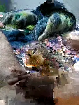 sitonmycock  online show from October 6, 9:01 pm