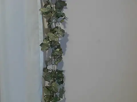 angelainparis28 online show from November 27, 4:58 am